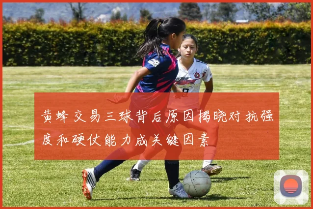 黄蜂交易三球背后原因揭晓对抗强度和硬仗能力成关键因素