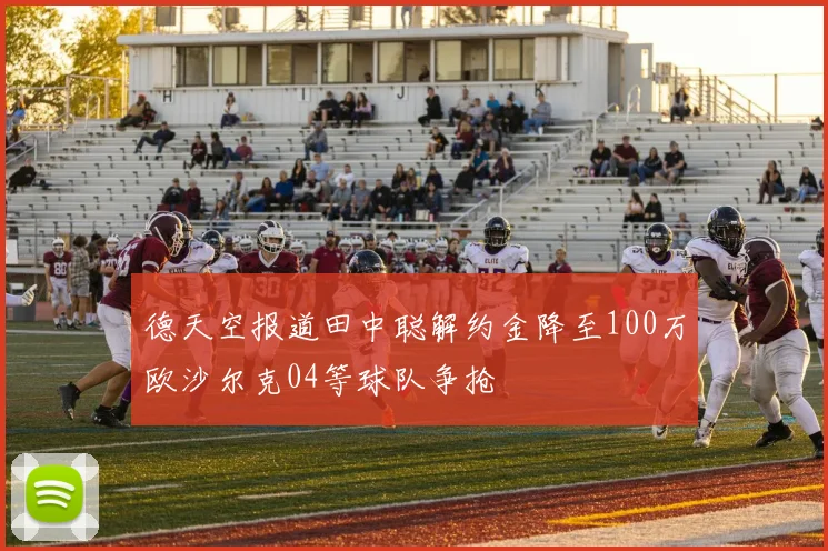 德天空报道田中聪解约金降至100万欧沙尔克04等球队争抢